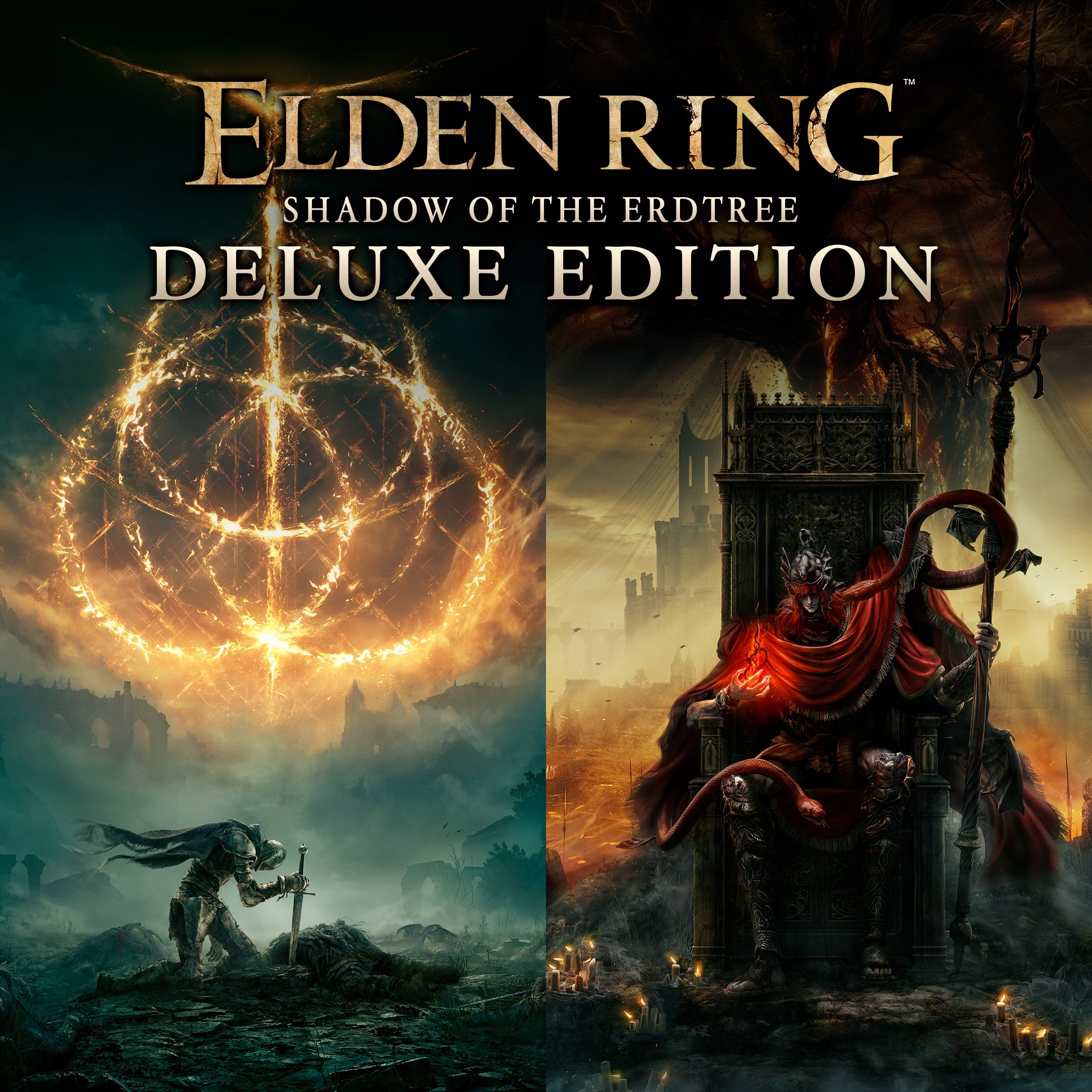 https://images.2game.com/screenshot/elden-ring-shadow-of-the-erdtree-deluxe-edition-buy-cdkey-full-3.jpg